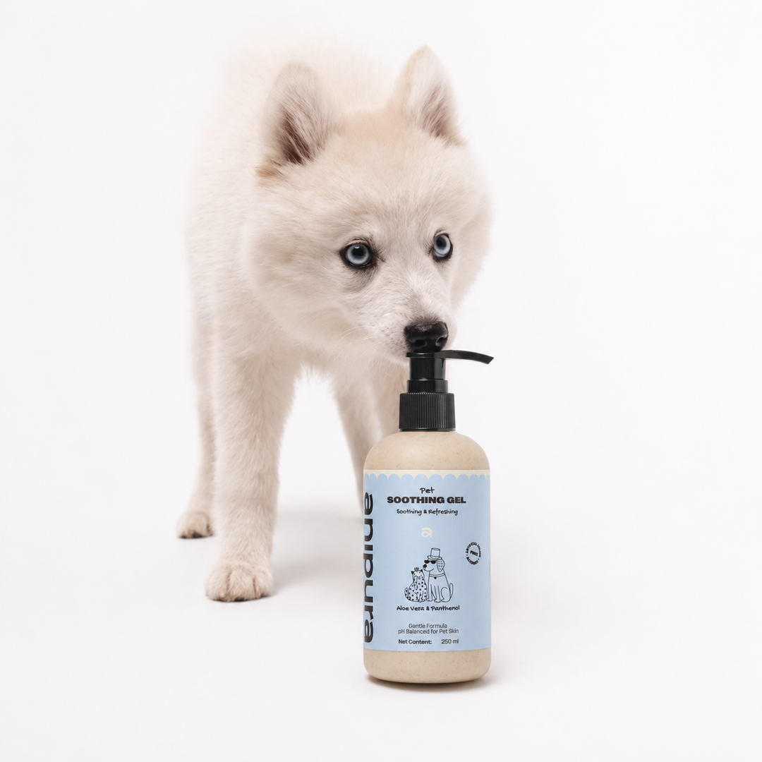 ANIPURA Pet Soothing Gel beside a puppy