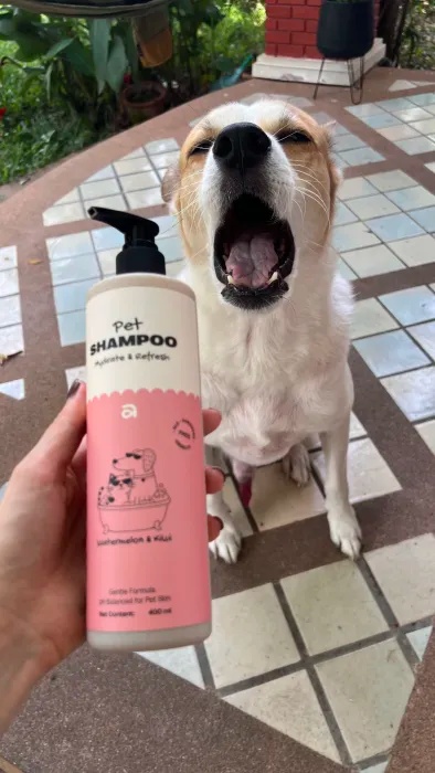 Dog with ANIPURA shampoo
